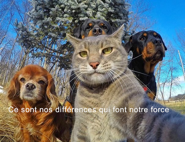 Ce sont nos différences qui font notre force